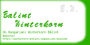 balint winterkorn business card
